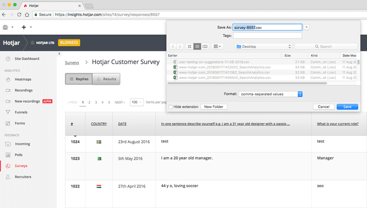 Example of survey export from Hotjar as .CSV
