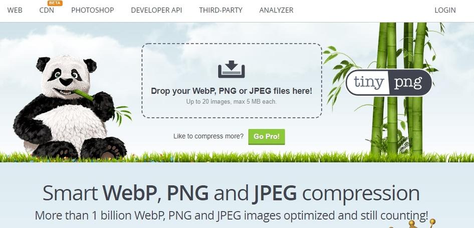 #Compressing files with tools like Tiny PNG helps your site load faster 